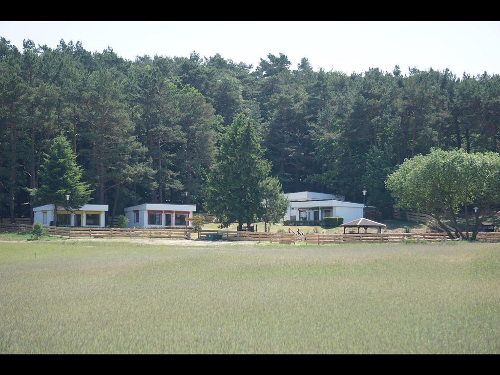 Bungalow Ueckeritz Εξωτερικό φωτογραφία